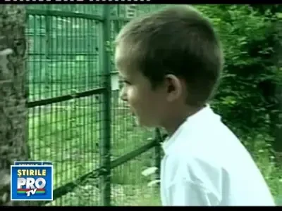 Este ziua gradinilor zoologice. Vizitatorii au intrarea libera la Zoo Sibiu