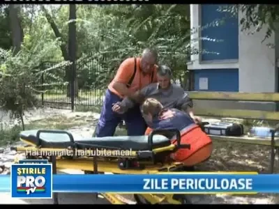 Cum te protejeaza legea daca lucrezi in aer liber, in timpul caniculei?