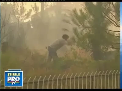 Vara de cosmar in Portugalia. Incendiile de vegetatie au curmat 3 vieti