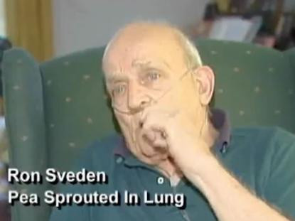 I-a crescut mazare-n plaman!