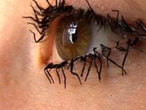 Artista de soc! Si-a pus picioare de muste moarte in loc de gene