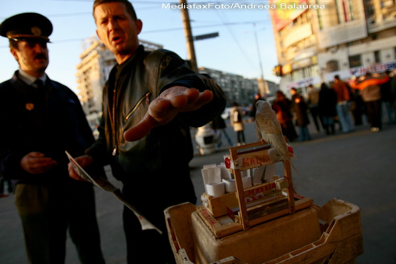 Omul-bazar, noua specie care bantuie prin intreg Bucurestiul