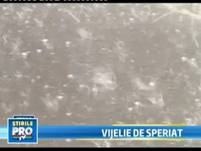 O furtuna crunta a maturat Oradea. Strazi inundate, copaci peste masini