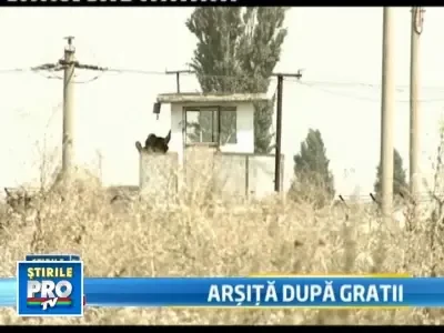 Canicula, greu de suportat dupa gratii! Detinutii muncesc mai putin