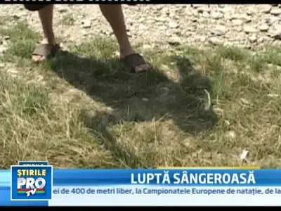 A platit cu viata pentru ca a intrat cu vitele pe terenul vecinului