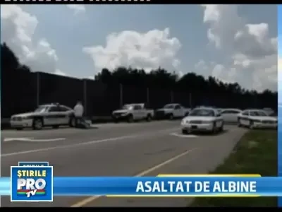 Ajutorul de serif din Carolina de Nord, luat ostatic de un roi de albine