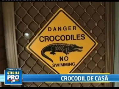Are trei crocodili, doi serpi si o pisica pe post de animale de casa