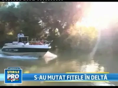Fitele din Mamaia s-au mutat in Delta: barci puternice, muzica la maximum