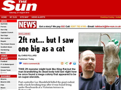 Ca in filmele de groaza: un englez a ucis un sobolan gigant!