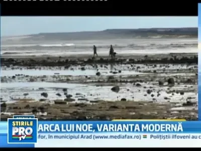 Cativa cercetatori vor sa faca un catalog cu ADN-ul fiecarei specii marine