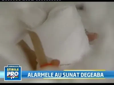 Date noi in ancheta de la Giulesti. Incubatoarele au declansat alarma