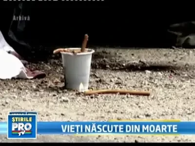 Viata dupa moarte. Organele unui tanar de 18 ani au salvat viata a 4 oameni