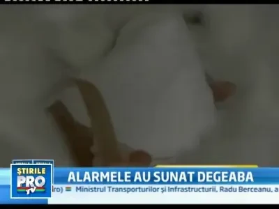 Date noi in ancheta de la Giulesti. Incubatoarele au declansat alarma