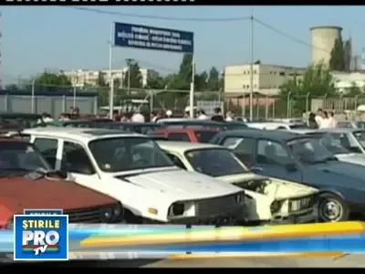 La Arad, primaria a scos la licitatie toate rablele gasite pe strazi