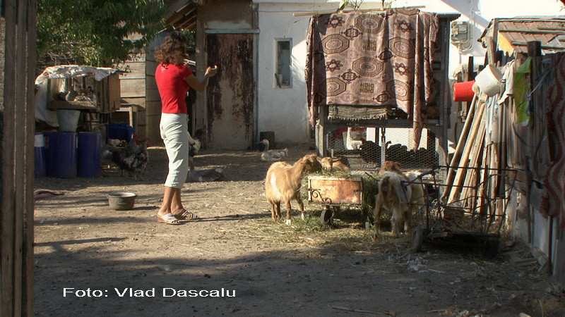Femeie de 41 de ani violata de vecinul adolescent