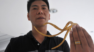 Si-a lasat unghii lungi de 35 de centimetri ca sa nu se mai bata