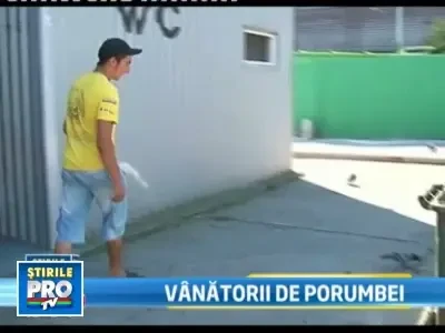 Fara bani in buzunar, doi soti au fost prinsi in timp ce vanau porumbei