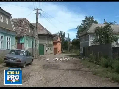 Au firma cu profit de 5,5 mld de dolari. Numai pe hartie, insa!