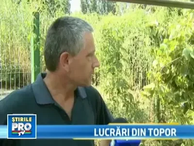 Unde tai si unde crapa... Au doborat un pom de 7 m direct peste 2 masini