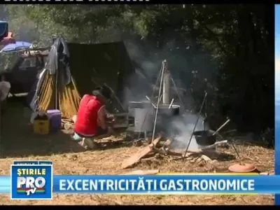 Campionatul de gatit fudulii i-a bagat pe sarbi in Cartea Recordurilor