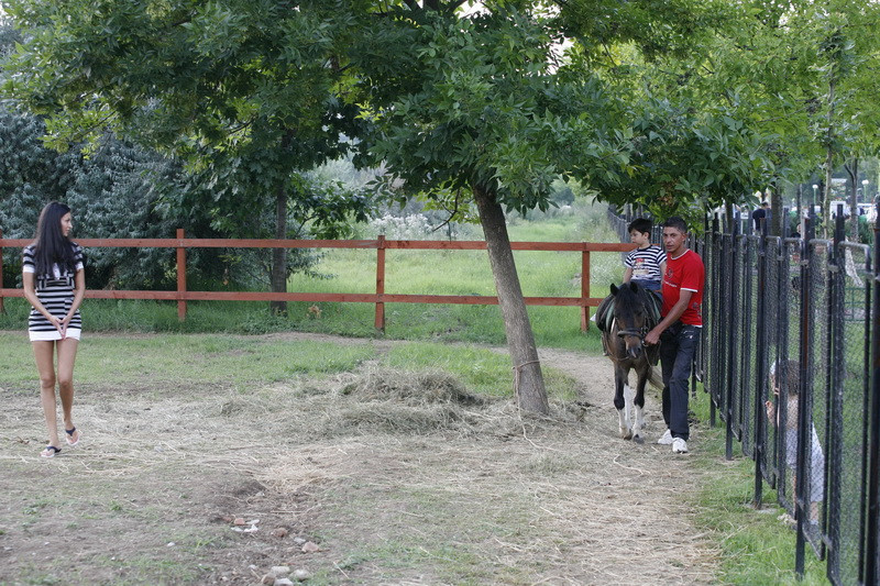 Nicoleta Luciu il duce pe micutul Zsolt la echitatie