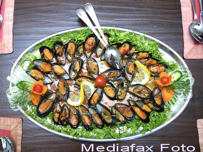 Singura crescatorie romaneasca de midii, aproape de colaps