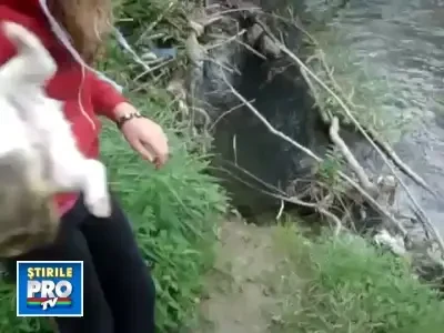 Imagini socante:catelusi de cateva zile omorati in chinuri de o adolescenta