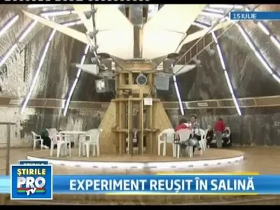 Cei 19 soricei "internati" la salina din Turda au fost tratati cu succes