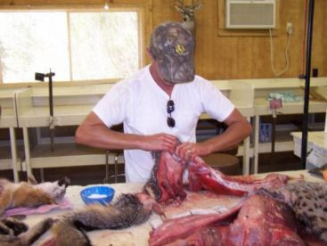 Cele mai ciudate meserii: colectorul de excremente si medicul de broaste