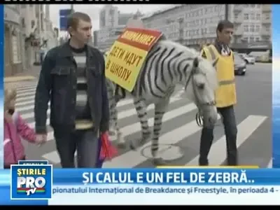 Cursuri de educatie rutiera pentru cei mici in Rusia, cu