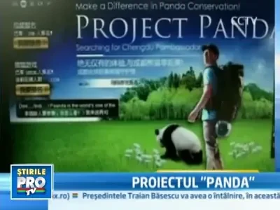 “Proiectul Panda”. Sase oameni vor deveni “ambasadorii