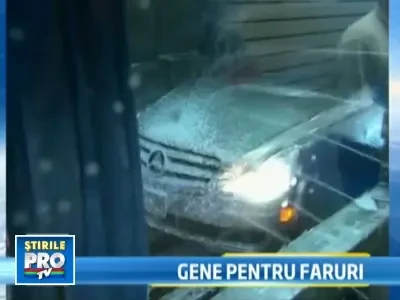 Ti-ai accesoriza masina cu o pereche de gene? E noul trend pe piata