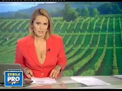 Strugurii romanesti, distrusi de ploile torentiale urmate de canicula