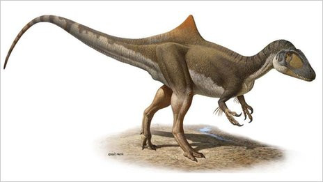 Revista presei: Dinozaurul cu cocoasa, descoperit in Spania