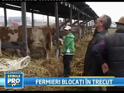 Fermieri, iesiti din amorteala daca nu vreti sa dati faliment!