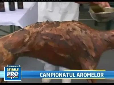 Interzis pofticiosilor: Campionatul International de Gatit in Aer Liber