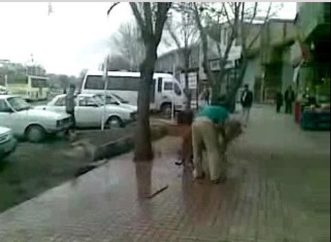 Uite cum isi spala leul in strada, ca pe o masina!