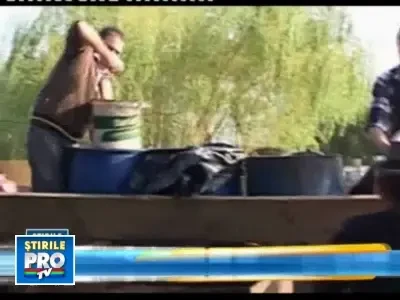 Circuitul prunei in natura. Cum ajunge tuica pe masa romanului...