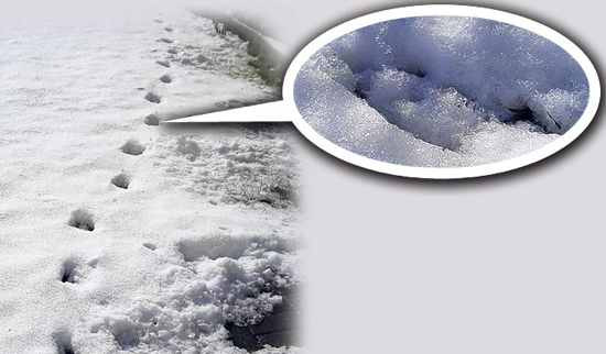 Au descoperit pasii Diavolului facuti pe Pamant!