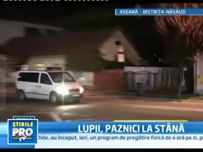 Politist si jandarm dupa gratii.Sunt acuzati de trafic si consum de droguri