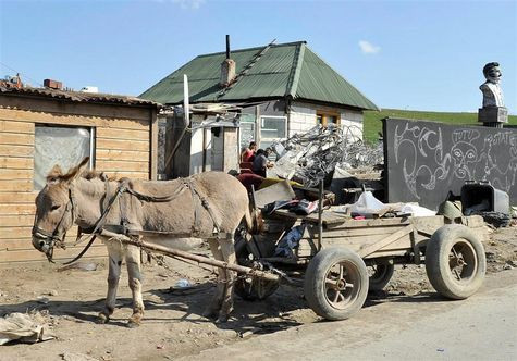 Deseuri si caini morti pe strada: aventura elvetienilor la Cluj