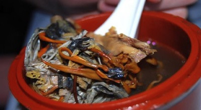 Peste 200 de vanatori au petrecut Balul Vanatorilor, la Buzias. Bucatarii au pregatit retete cu specific vanatoresc