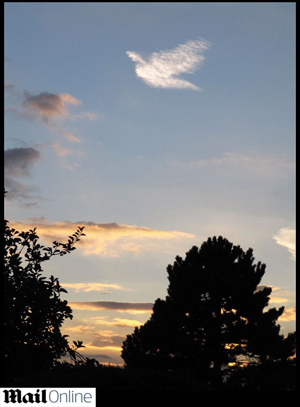 Mesaj de Sus? Un nor sub forma de porumbel a anuntat vizita Papei in Anglia