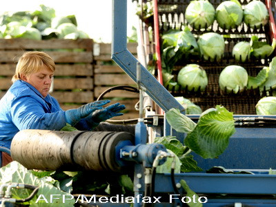 Sef de la SRI Alba si un politist, cercetati in libertate