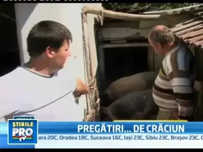 A inceput sezonul de cumparat porci pentru Craciun. Pretul: 7 lei/kg