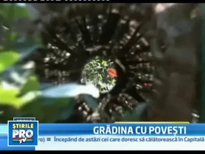 Dumbrava Minunata, creata la Galati de un invatator