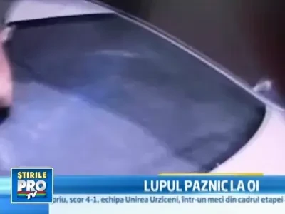 Flagrant! Politist prins in timp ce primea mita 1600 de euro