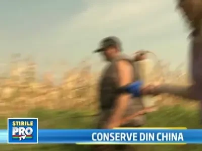 Putine muraturi vor avea gust romanesc.Recolta de legume cu 30% mai mica