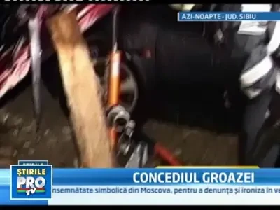 Pregateau gratarul cand un sofer a plonjat in curte si le-a distrus masina