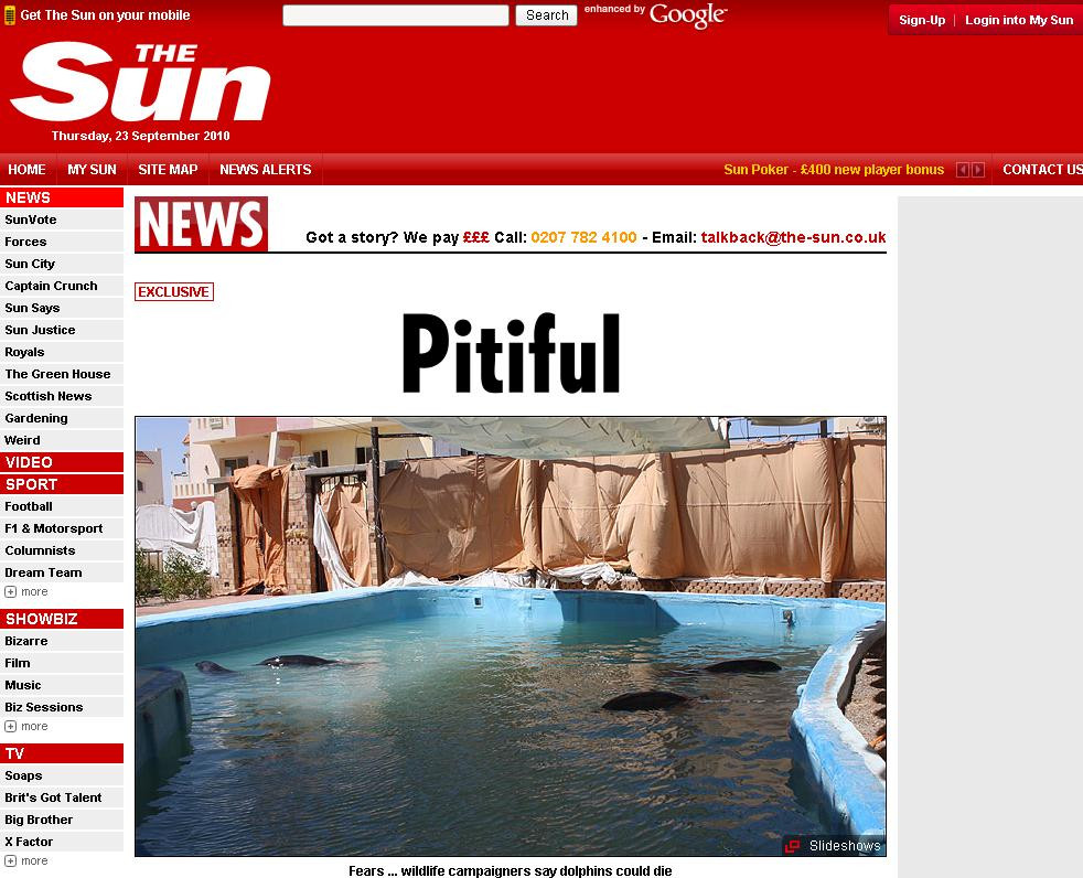 Socant! Delfini lasati sa inoate in propriile excremente